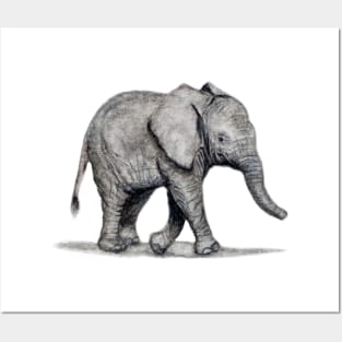 Elephant Posters and Art